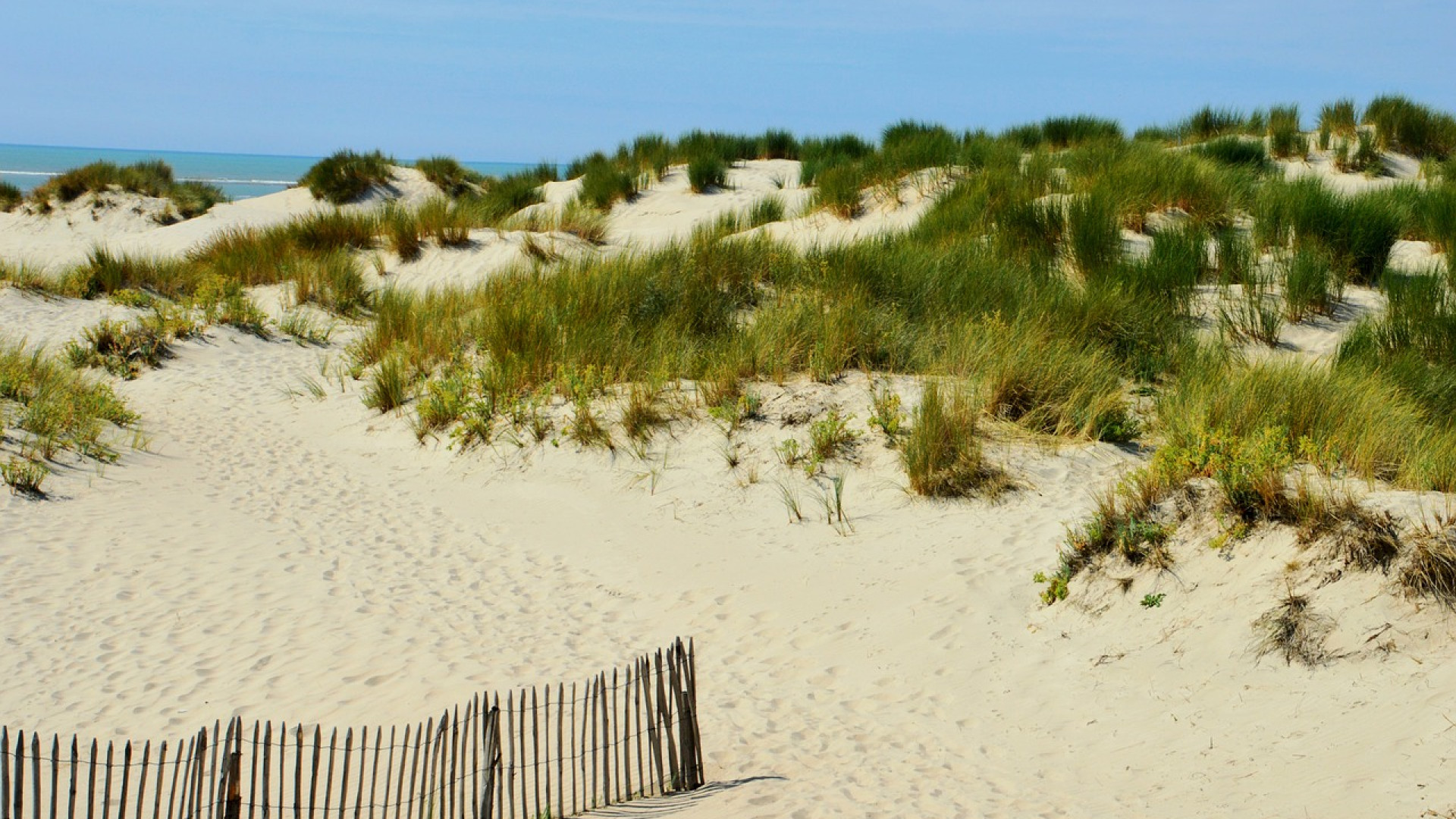 Les activités incontournables à Calais