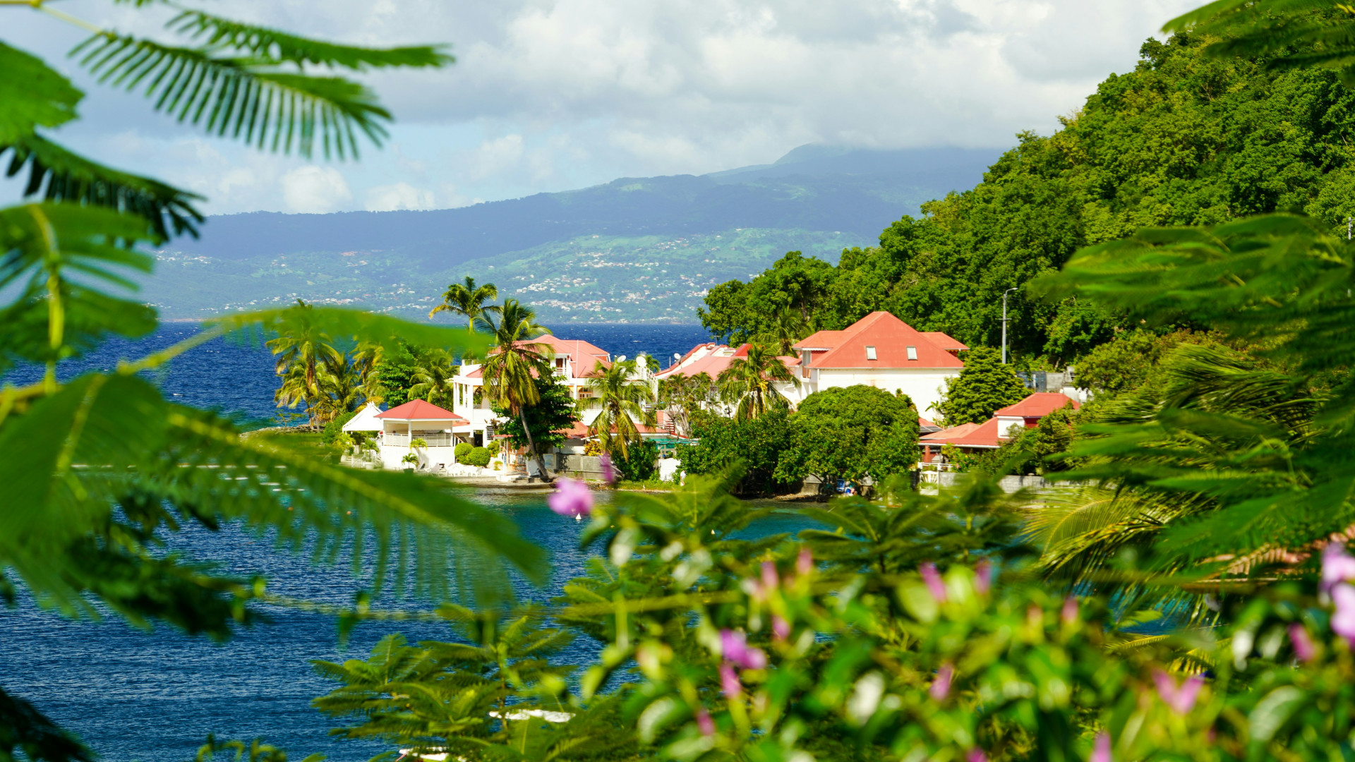 Profitez du luxe d'un gite de charme en Guadeloupe !