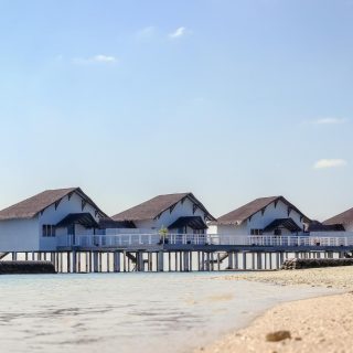 Chalets sur pilotis : découvrez l’art de vivre au bord de la mer