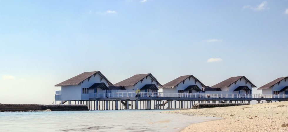 Chalets sur pilotis : découvrez l’art de vivre au bord de la mer