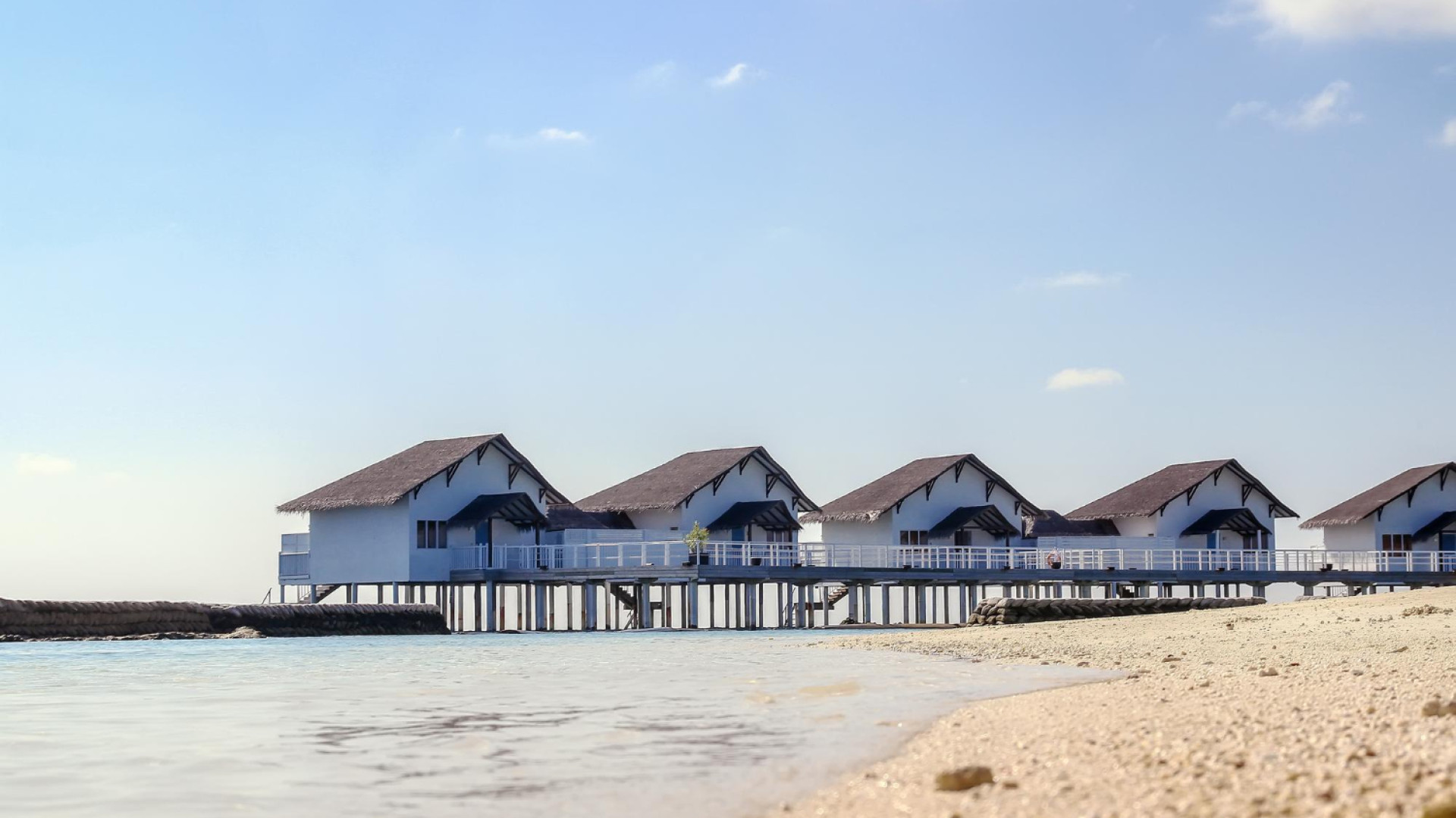 Chalets sur pilotis : découvrez l’art de vivre au bord de la mer